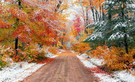 Прогноз погоди на Сумщині та в Україні: яким буде кінець листопада