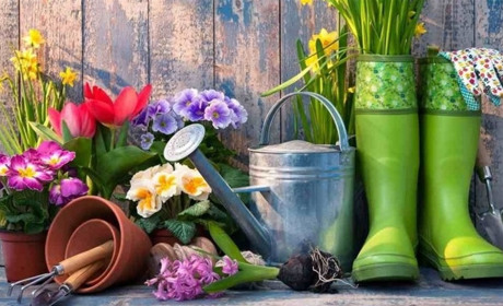 Посівний календар на квітень 2022 року. Працюємо - ПЕРЕМОЖЕМО!