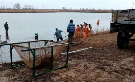 Новокаховський рибозавод відстояли