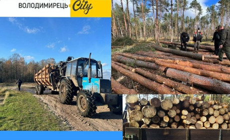 Прокуратура повідомила: 100 кубів незаконної деревини вилучено у Вараському районі