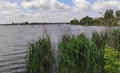 Погода у Старокостянтинові на 30 травня - 5 червня: дощитиме