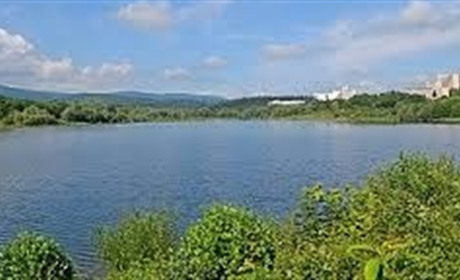 На Звягельщині припинили незаконне користування підприємцем ставками вартістю 140 млн грн