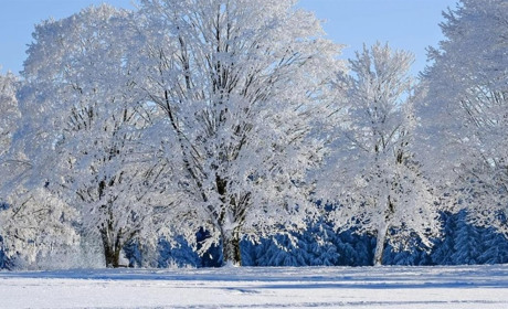 На Сумщині прогнозують мінус 12-20 градусів уночі та ожеледицю: погода