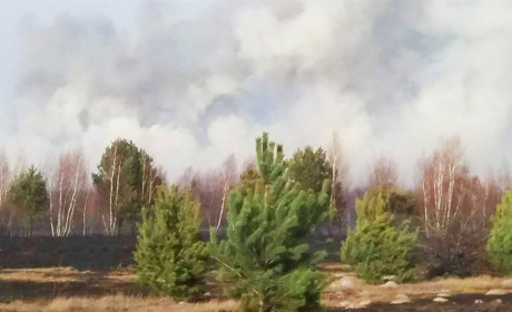 Через підпали сухої трави жителям Володимиреччини щодня доводиться дихати димом
