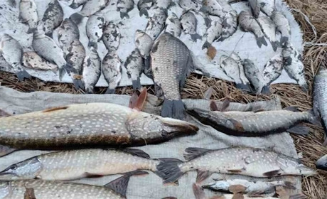 Житель з Ушні має сплатити в бюджет 100 тисяч гривень
