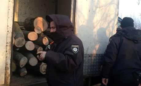 У Васильківському затримали дрівників: випилювали ясен