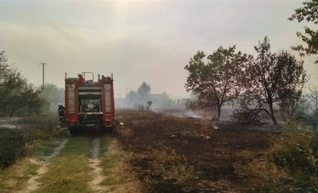 На Луганщині у трьох районах спалахнули пожежі, вогонь підібрався до житла: що про це відомо