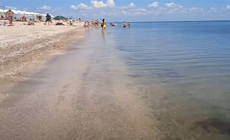 Чи є медузи в морі у Щасливцевому? Дивимось відео гостей курорту від червня 2021 року
