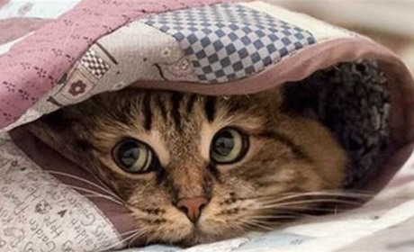 Ох і погодка! Чого чекати від неї жителям Білопільщини найближчими днями?