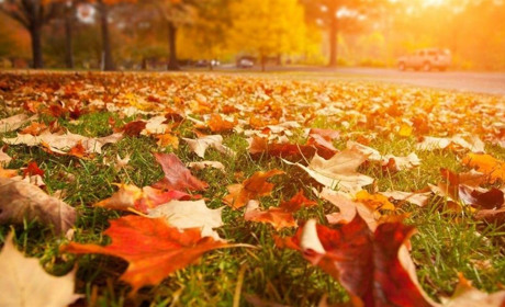 Прогноз погоди на 4-6 вересня на Сумщині та в Україні