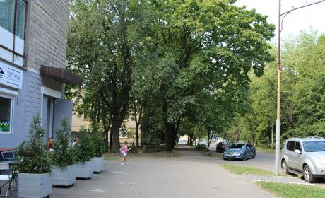 Погода у Жовтих Водах: коли вже можна знімати зимній одяг