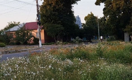 В Краснограді з'явився Волонтерський провулок: назву запропонували місцеві мешканці