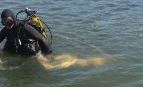 Впереди выходные: вспомните перед поездкой на отдых о правилах поведения на воде