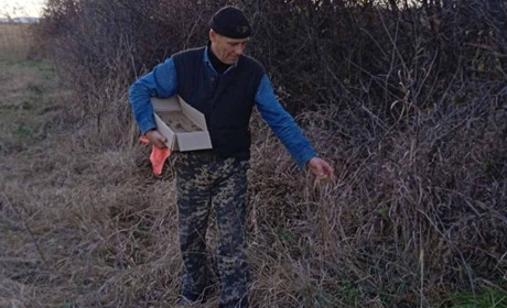 У Петропавлівщині – сказ: вакцинують диких тварин та закликають щепити свійських і домашніх