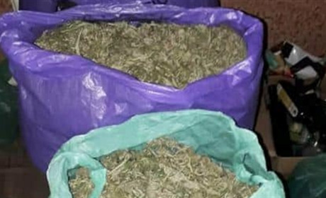 Старокостянтинівця засудили за збут канабісу