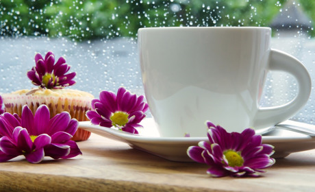 Якої погоди чекати мешканцям Сватівщини у перші дні червня: прогноз з 31 травня по 6 червня 2021