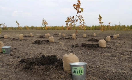 Голова Держагентства лісових ресурсів Юрій Болоховець: «Офіс лісівників – це ліс, а не адмінбудівлі»