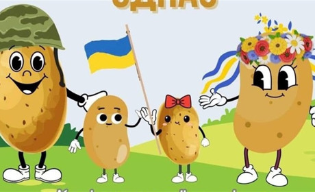 У Звягелі відбудеться картопляний фестиваль на підтримку захисників України: деталі