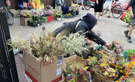 ФЛОРИСТИЧНІ ДИВА НІЖИНСЬКОГО РИНКУ :БРИЗА, КРАПЕДІЯ, КЕРМЕК, ЛАРУГУС