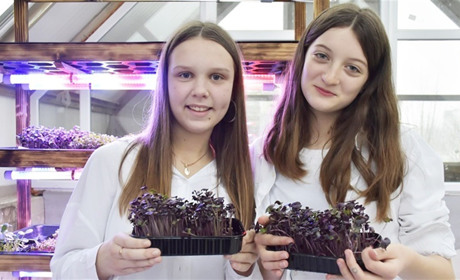 Молодь у проєкті «Розумний город. Мікрозелень» заробила свій перший мільйон