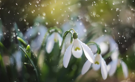 Чи почнеться нарешті весна? Дізнаємося з прогнозу погоди