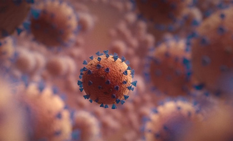 COVID-19: в Мелітополі все спокійно, а ось Львову не до туристів - майже кожен день антирекорди