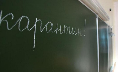 В Измаиле частично приостановили учебный процесс из-за карантина