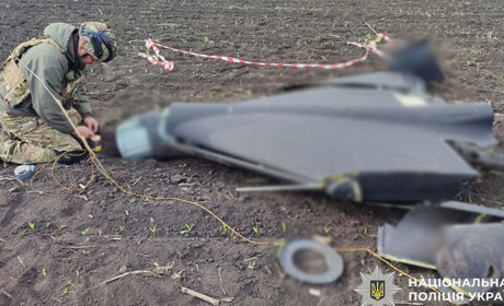 На Житомирщині знешкодили нерозірвані бойові частини збитих російських ракет та БпЛА