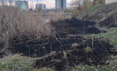 За підпал трави можна отримати реальні терміни ув'язнення та великі штрафи: якщо спрацює Закон