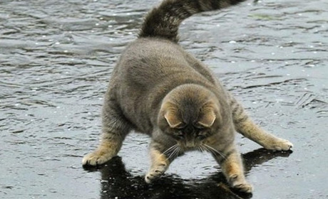 Погода на лівобережжі Херсонщини з 4 по 6 лютого: прогноз Українського гідрометеоцентру