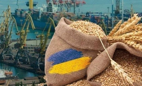 Експорт з чорноморських портів вже сягнув довоєнного рівня: експортовано 25 мільйонів тонн збіжжя