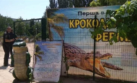 Чи справді на Арабатській Стрілці відкрилась крокодилова ферма?