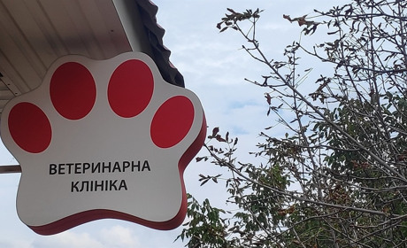 Ветеринарна клініка VetHome взяла участь у проєкті на підтримку чотирилапих України