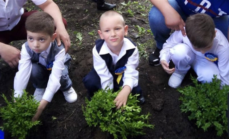 Самшит на згадку замість кульок в небо: випусники дитсадка посадили декоративні кущі