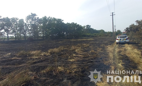 На Одещині затримали трьох чоловіків, які навмисне влаштували пожежі на сільгоспугіддях
