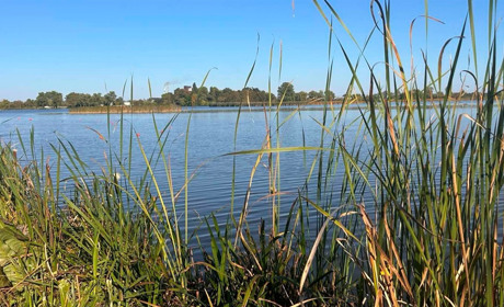 Погода у Старокостянтинові на 23-29 вересня: пануватиме тепло