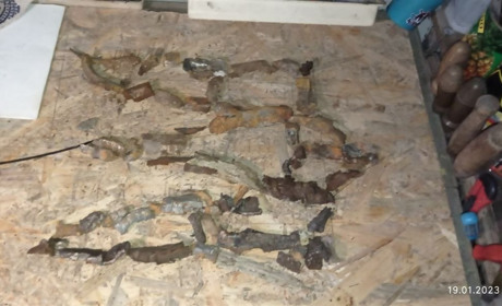 Гуманітарний волонтерський вантаж зі Львова уже на Херсонщині: як нас зустріла Антонівка