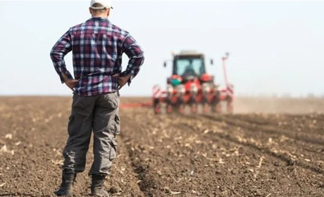 Підтримка для фермерів Біляївської громади: як отримати кошти на добрива, корми та техніку
