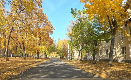 Таку жовту осінь ви ще не бачили: проїхалися по Хмельницького у Жовтих Водах