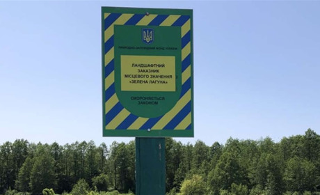Шість мільйонів гривень збитків: на Звягельщині у заказнику незаконно вирубали дерева