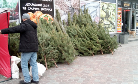 Почім ялинки в Новій Каховці