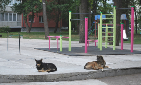 Щоденний дайджест від Золотоноша.City: зустрічаємо новий день – 25 серпня 2021 року