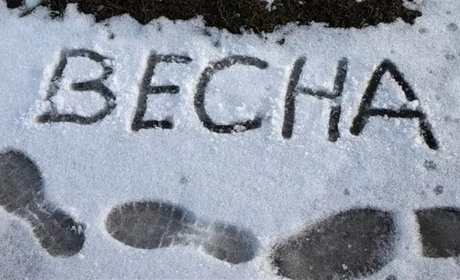 Дістаємо шарфи: на Сумщині знову сніжитиме та похолодає