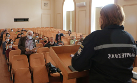 Что делать с собаками: В Попасной прошли общественные слушания. Коротко о главном
