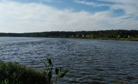 Купатися в Унаві не варто: стали відомі результати аналізів води з річки