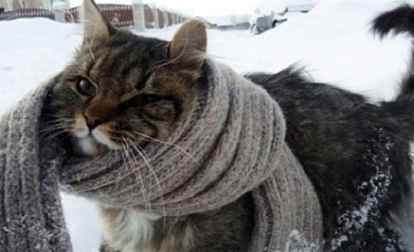 Великі "мінуси" і повний місяць: прогноз погоди на вихідні на Сумщині та в Україні