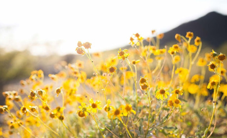 Погода в Кагарлику та Ржищеві з 5 по 11 липня