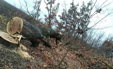 Дивишся і хочеться плакати