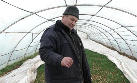 Понад 30 тисяч підписників: фермер з Херсонщини ділиться лайфхаками з городництва в YouTube