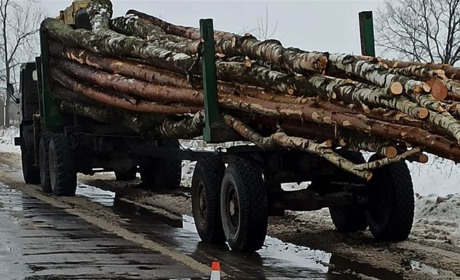 На Сарненщині під колесами лісовоза загинула велосипедистка